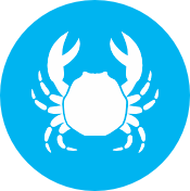 Crustaceos