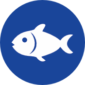 Pescado