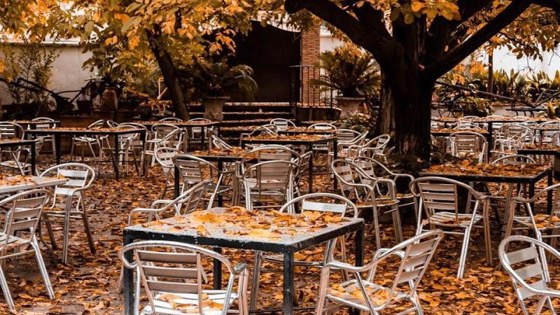 Terraza El Molino