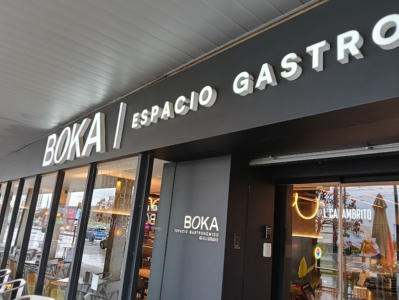 The Black Turtle - BOKA