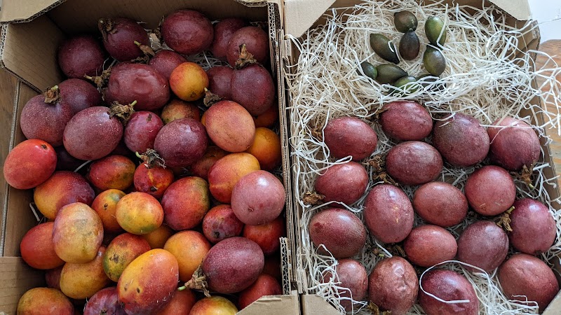 Huerta Tropical